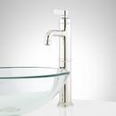 Single Handle Vessel Filler Bathroom Sink Faucet in Polished Nickel