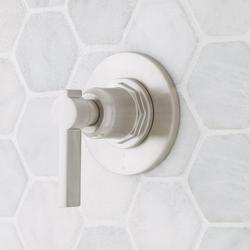 Single Handle Diverter Valve Trim in Brushed Nickel (Trim Only)