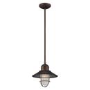100W 1-Light Medium E-26 Pendant Light with Inside Etched Glass in Rubbed Bronze