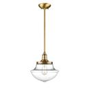 100W 1-Light Medium E-26 Vintage Edison Pendant Light with Clear and Schoolhouse Globe Glass in Heirloom Bronze