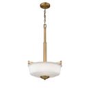 300W 3-Light Medium E-26 Pendant Light with Etched White Glass in Heirloom Bronze
