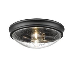 2-Light Flush Mount Ceiling Light in Matte Black