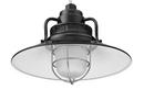 Millennium Lighting Satin Black 100W 1-Light Medium E-26 Pendant Light with Inside Etched Glass 