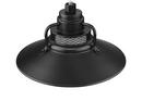 Millennium Lighting Satin Black 100W 1-Light Medium E-26 Pendant Light with Inside Etched Glass 