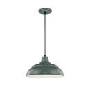 200W 1-Light Warehouse Cord Hung Outdoor Pendant in Satin Green