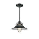 100W 1-Light Medium E-26 Pendant Light with Inside Etched Glass in Satin Black