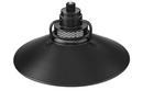 Millennium Lighting Satin Black 100W 1-Light Medium E-26 Pendant Light with Inside Etched Glass 