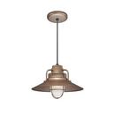 100W 1-Light Medium E-26 Pendant Light with Inside Etched Glass in Copper