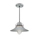 100W 1-Light Medium E-26 Pendant Light with Inside Etched Glass in Galvanized
