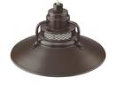 Millennium Lighting Architectural Bronze 100W 1-Light Medium E-26 Pendant Light with Inside Etched Glass 