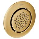 Moen Brushed Gold Single Function Body Spray 