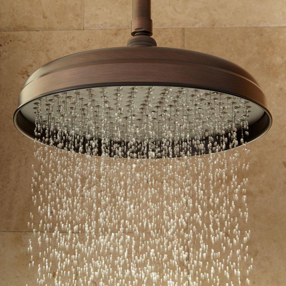 Signature Hardware Oil Rubbed Bronze Single Function Rainfall Showerhead 