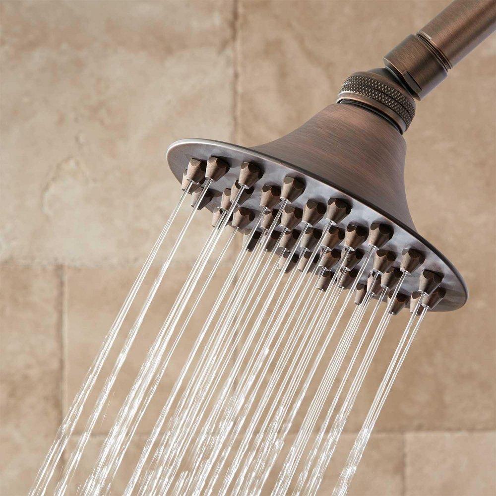Signature Hardware Oil Rubbed Bronze Single Function Rainfall Showerhead 
