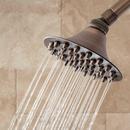 Signature Hardware Oil Rubbed Bronze Single Function Rainfall Showerhead 