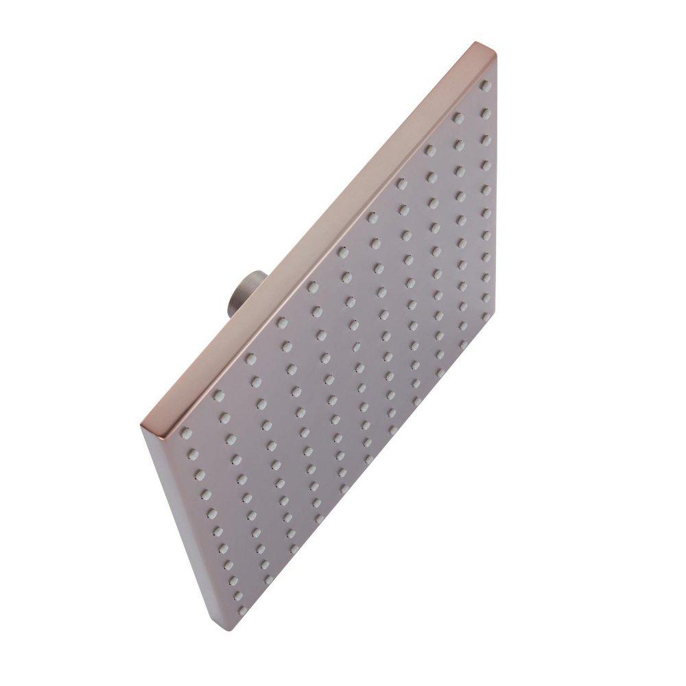 Signature Hardware Oil Rubbed Bronze Single Function Rainfall Showerhead 