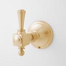 Single Robe Hook in Brushed Gold