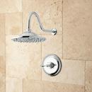 Single Handle Single Function Shower Faucet in Chrome