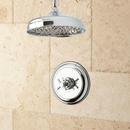 Signature Hardware Chrome Single Handle Single Function Shower Faucet 