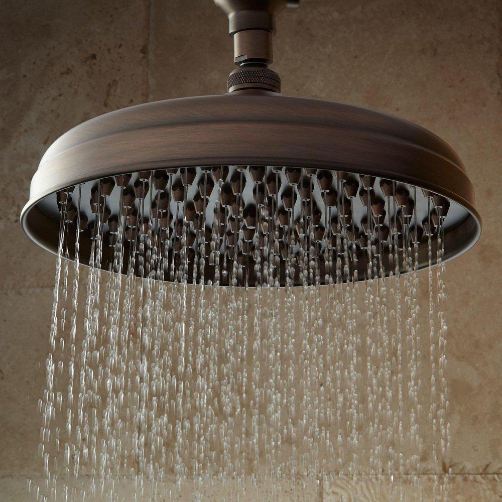 Signature Hardware Oil Rubbed Bronze Single Function Rainfall Showerhead 