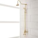 Exposed Pipe Shower and Tub Faucet in Polished Brass