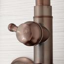 Signature Hardware Oil Rubbed Bronze Exposed Pipe Shower and Tub Faucet 