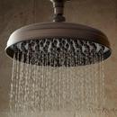 Signature Hardware Oil Rubbed Bronze Single Function Rainfall Showerhead 