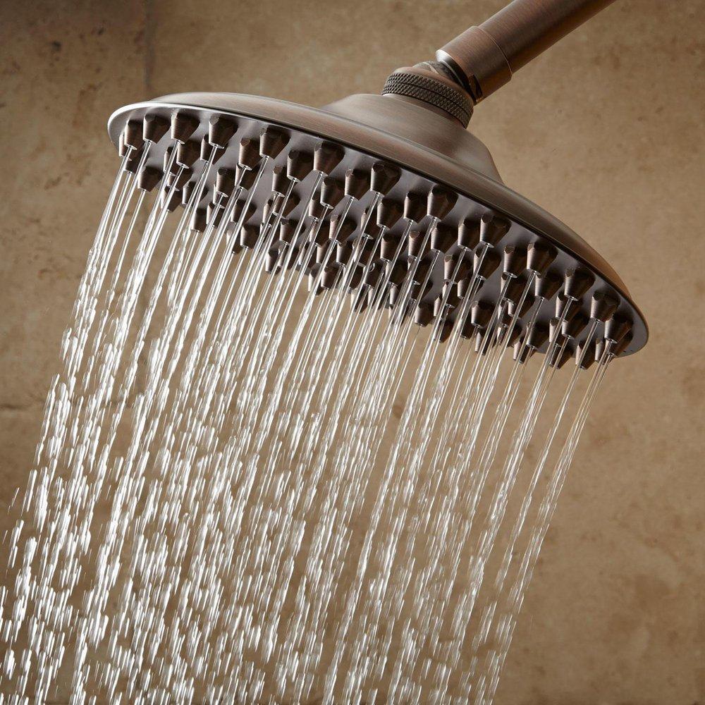 Signature Hardware Oil Rubbed Bronze Single Function Rainfall Showerhead 