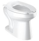 Elongated Floor Mount Toilet Bowl