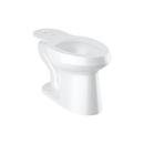 Sloan Valve White Elongated Floor Mount Toilet Bowl 