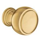 Drawer Knob in Brushed Gold