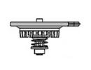 Diaphragm Assembly for ICV-101G, ICV-151G and ICV-201G Plastic Valves