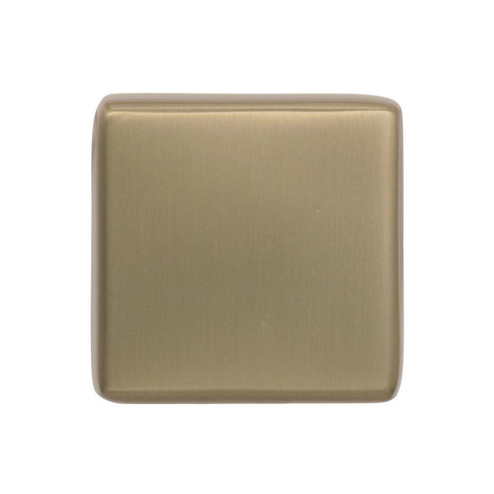 Amerock Golden Champagne Blackrock 1-3/16 in (30 mm) Length Golden Champagne Cabinet Knob 