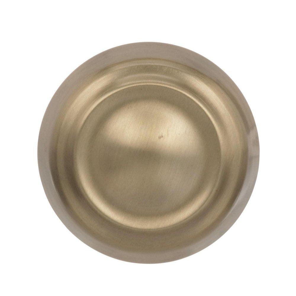 Kane 1-3/16 in (30 mm) Diameter Golden Champagne Cabinet Knob 