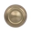 Kane 1-3/16 in (30 mm) Diameter Golden Champagne Cabinet Knob 