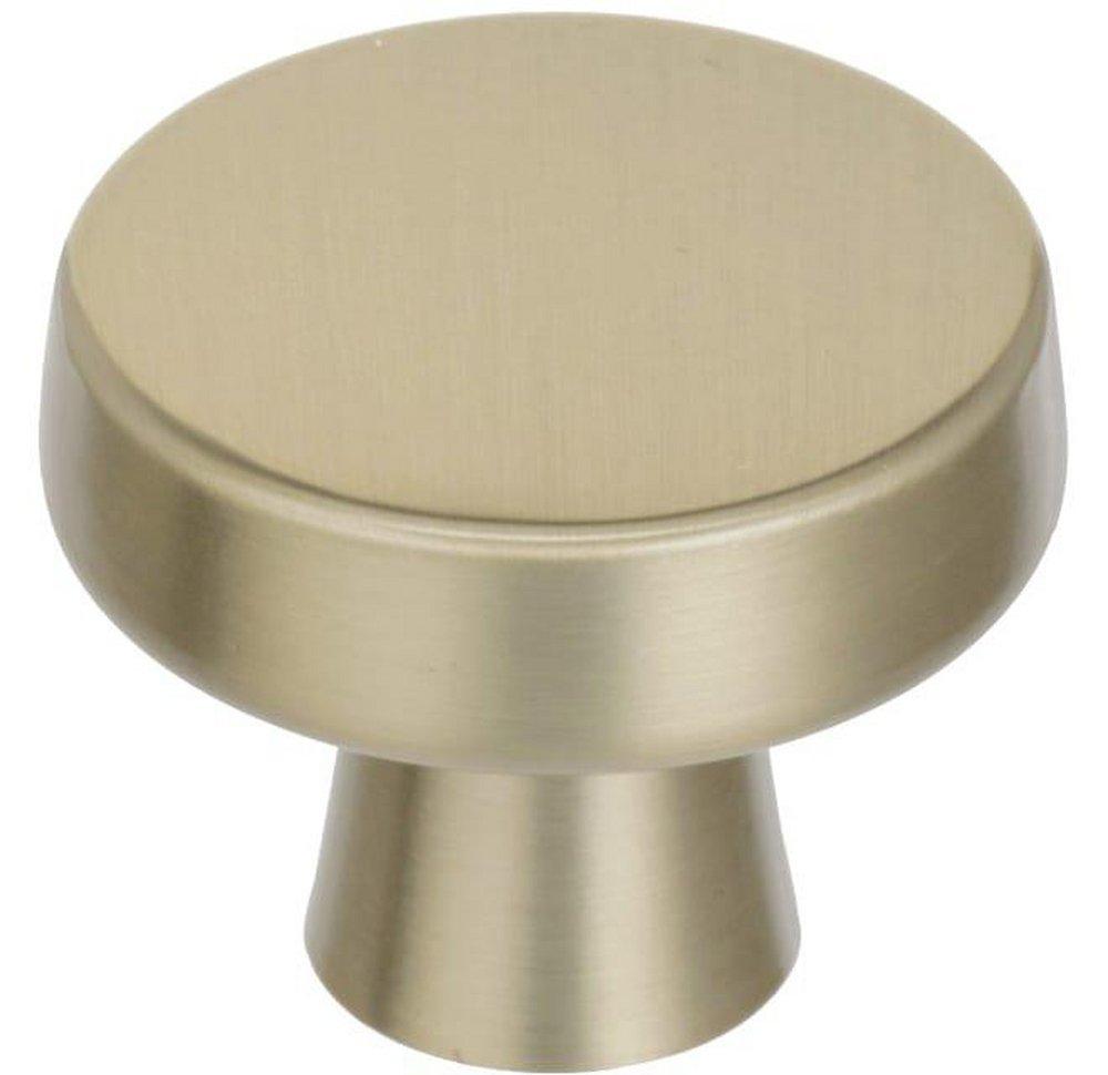 Amerock Golden Champagne 1-5/16 in. Knob 