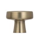 Amerock Golden Champagne Blackrock 1-5/16 in (33 mm) Diameter Golden Champagne Cabinet Knob 