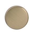 Amerock Golden Champagne Blackrock 1-5/16 in (33 mm) Diameter Golden Champagne Cabinet Knob 