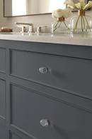 Amerock Clear 1-3/4 in. Oval Knob 