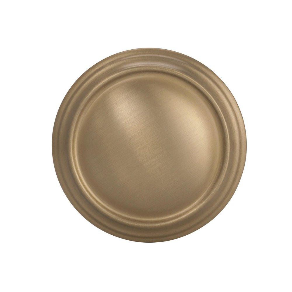 Amerock Golden Champagne Revitalize 1-1/4 in (32 mm) Diameter Golden Champagne Cabinet Knob 