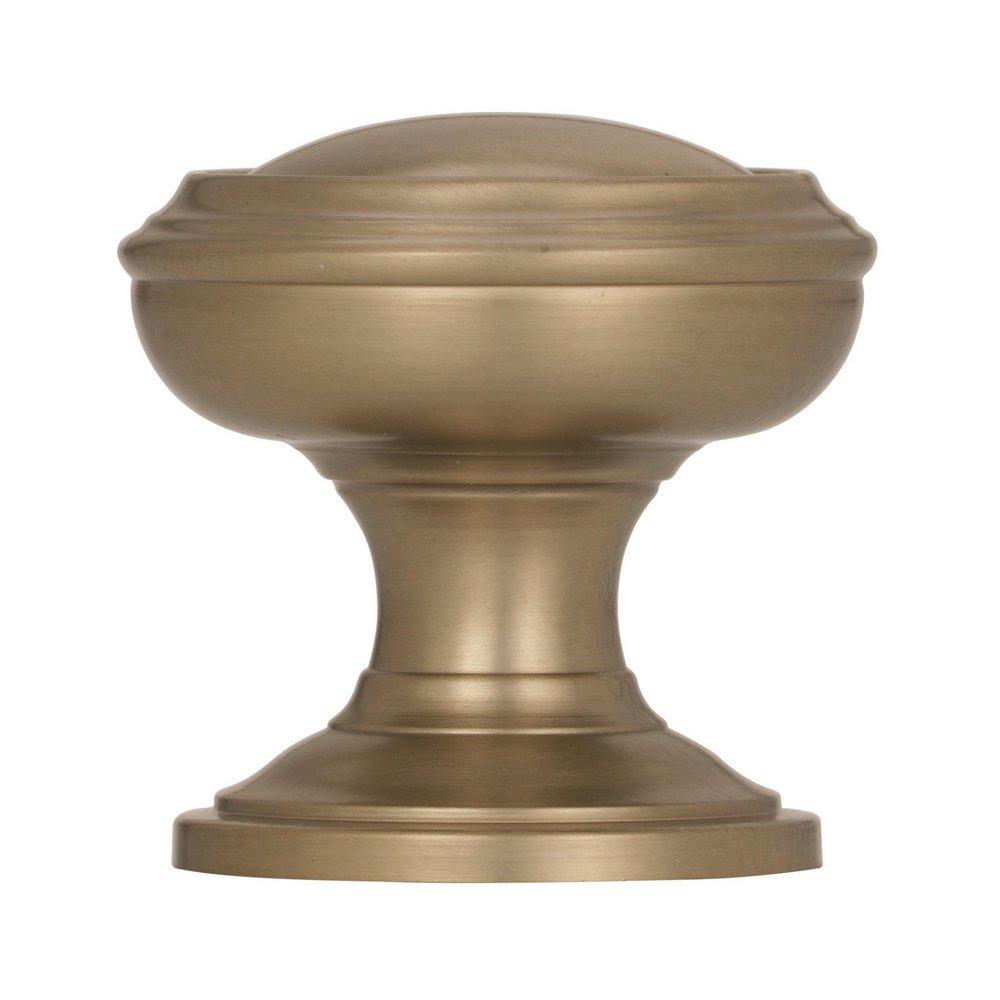 Amerock Golden Champagne Revitalize 1-1/4 in (32 mm) Diameter Golden Champagne Cabinet Knob 