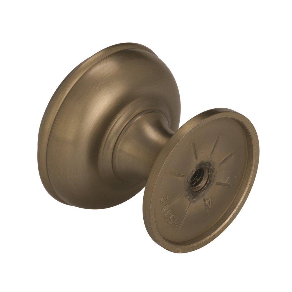 Amerock Golden Champagne Revitalize 1-1/4 in (32 mm) Diameter Golden Champagne Cabinet Knob 