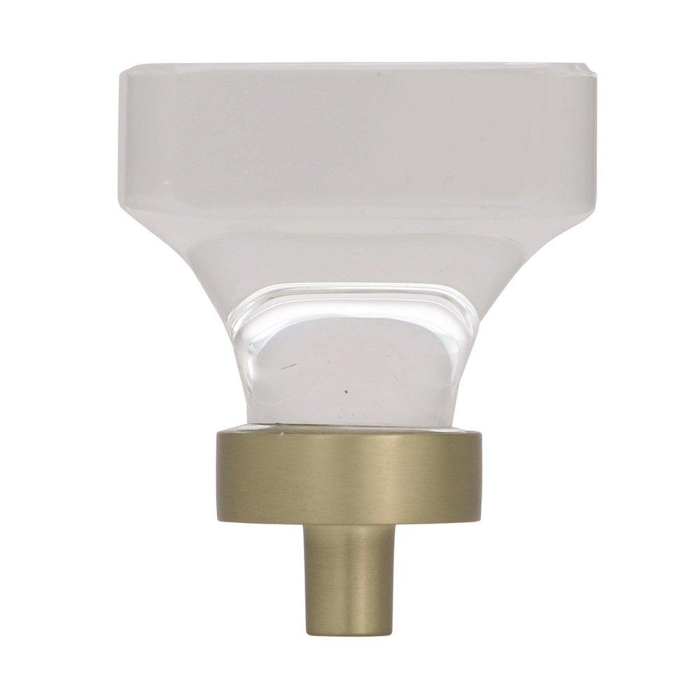 Amerock Clear/Golden Champagne Glacio 1-3/8 in (35 mm) Length Clear/Golden Champagne Cabinet Knob 