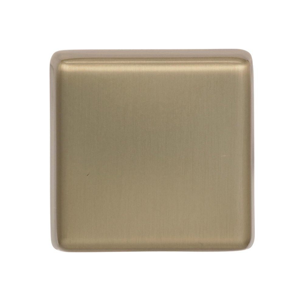Amerock Golden Champagne Blackrock 1-1/2 in (38 mm) Length Golden Champagne Cabinet Knob 