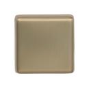 Amerock Golden Champagne Blackrock 1-1/2 in (38 mm) Length Golden Champagne Cabinet Knob 