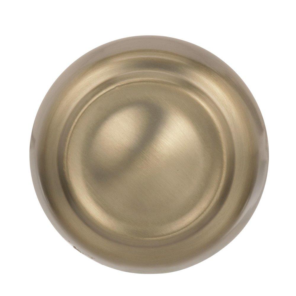 Kane 1-5/8 in (41 mm) Diameter Golden Champagne Cabinet Knob 