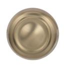 Kane 1-5/8 in (41 mm) Diameter Golden Champagne Cabinet Knob 