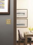 Mulholland 2 Toggle Golden Champagne Wall Plate 