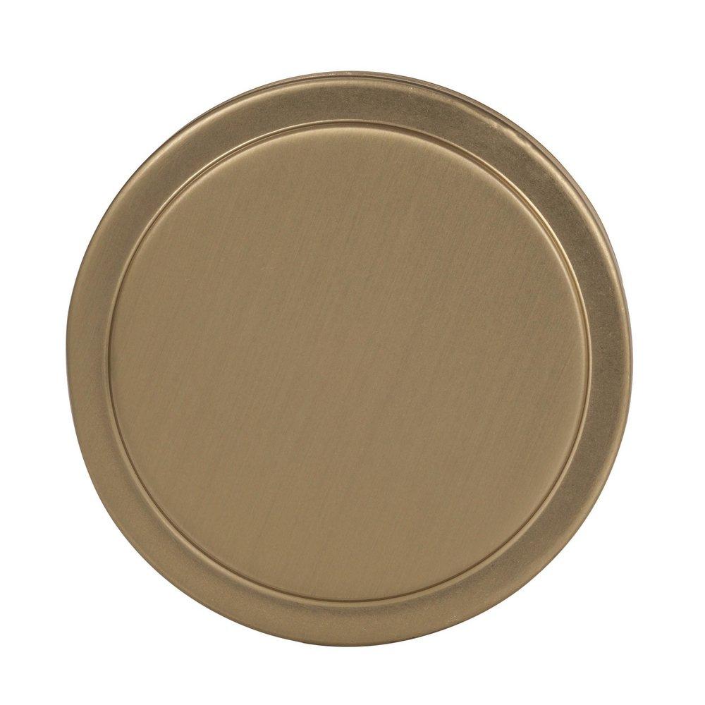 Oberon 1-3/4 in (44 mm) Diameter Golden Champagne Cabinet Knob 