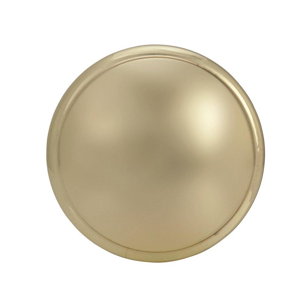 Amerock Polished Brass Allison Value 1-1/4 in (32 mm) Diameter Polished Brass Cabinet Knob 