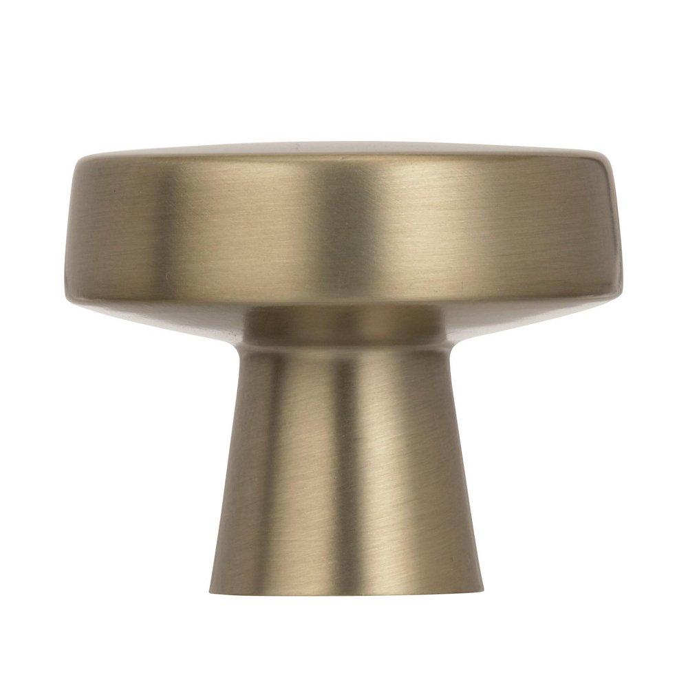 Amerock Golden Champagne Blackrock 1-5/8 in (44 mm) Diameter Black Bronze Cabinet Knob 